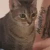 Kimberly Shearer - @kimberly.shearer7 - TikTok