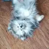 kimberlysickles - @ksickles5 - TikTok