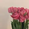 Kimberly Silverio - @kimberlysilverio - TikTok