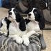 Kimberly Treanor Slaybaugh - Facebook