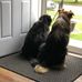 Kim Soderberg - Facebook