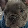 kimberlysoderberg6 - @kimberlysoderberg6 - TikTok