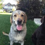 Kimberly Stack Smith - @kkstacksmith - Instagram