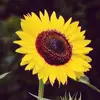 kimberlystaton610 - @kimberlystaton610 - TikTok