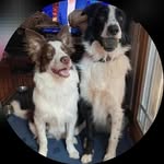Kimberly Cragg Armistead - @kimberlycraggarmistead - Instagram