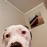 Kim - @kimberly_stephenson - Instagram