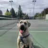 Kimberly Stephens - @kimberly.stephens - TikTok