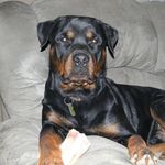 Kimberly Brooks Storms - @stormskimberly - Instagram