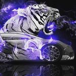 Kimberly Stover - @74tigerlovers - Instagram