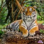 Kimberly Stover - @stover3889 - Instagram
