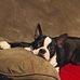 Kimberly Hooks Strachan - Facebook