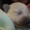 Kimberly Tejeda - @kimberlytejeda3 - TikTok