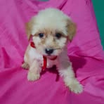 Kimberly Tello - Facebook