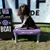 kimberlytemplin4 - @jazzyjet777 - TikTok