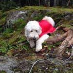 Kimberly Thibault - @thibault1337 - Instagram
