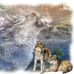 Kimberly Thomson - Facebook