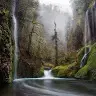 Kimberly Thomson - @kimberlythomson - TikTok