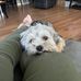 Kim Tomaszewski-Stefura - Facebook