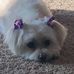 Kimberlee Roe-Tomaszewski - Facebook