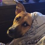 Kimberly M Towne - @kimmtowne - Instagram