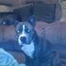 Kimberly Underhill - Facebook