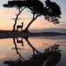 Kimberly Vale - Facebook