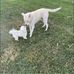 Kim VanPelt - Facebook