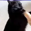 Kimberly vianey Hernández Robl - @kimberly.vianey.h4 - TikTok