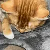 kimberlywagaman - @kimberlywagaman - TikTok