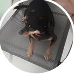 Kimberly Waugh - @kimberly_waugh_1 - Instagram