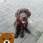 Kimberly Wegener - @kimberly.wegener - Instagram