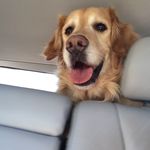 Kimberly Wegener-Hoch - @wegenerhoch - Instagram