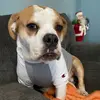 KimberlyWeinpert - @kimberlyweinpert - TikTok