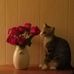 Kimberly Wesson - Facebook