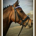 Kimberly Wind - @kimberly_wind_ - Instagram
