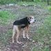 Kimberly Wolverton - Facebook
