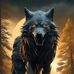 Kim Wolf - Facebook
