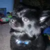 kimberlywright4952 - @kimberlywright4952 - TikTok