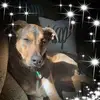 Kimberly Zenner - @kimberlyzenner - TikTok