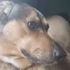 Kimberly Zenner - @kim.zenner - TikTok