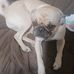Kimi Camacho - Facebook