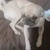 Kimi Camacho - @kimi.camacho - TikTok