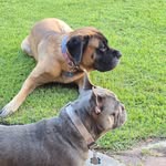 Kimi Thompson - @mana_tyson__thor_thompson - Instagram