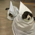 Kimi - @kimiv.o - Instagram