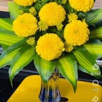 Đỗ Thị Kim Loan - @kimloan_dothi - Instagram