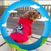 Kim Moore - Facebook