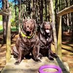 Maya Maria e Kimo Leopoldo - @labmayaekimo - Instagram