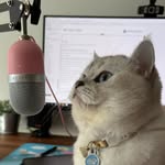 Kin Vong - @kinnvv - Instagram