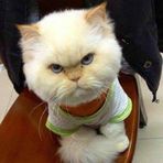 Kin Vong - Facebook