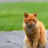 Kin Wei - @kin.wei7 - TikTok